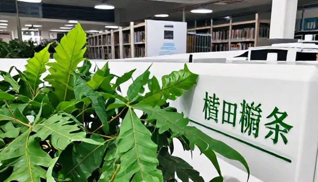 名录推广的一站式优化策略与适用场景分析